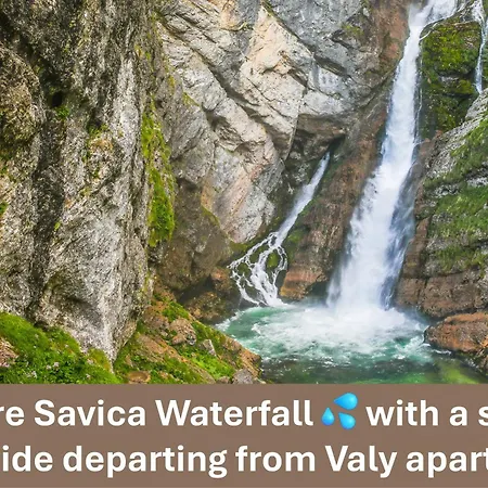 Valy - Relaxing Terrace & Near Bled