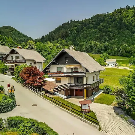 Peaceful With Terrace Near & Free Parking * Bled